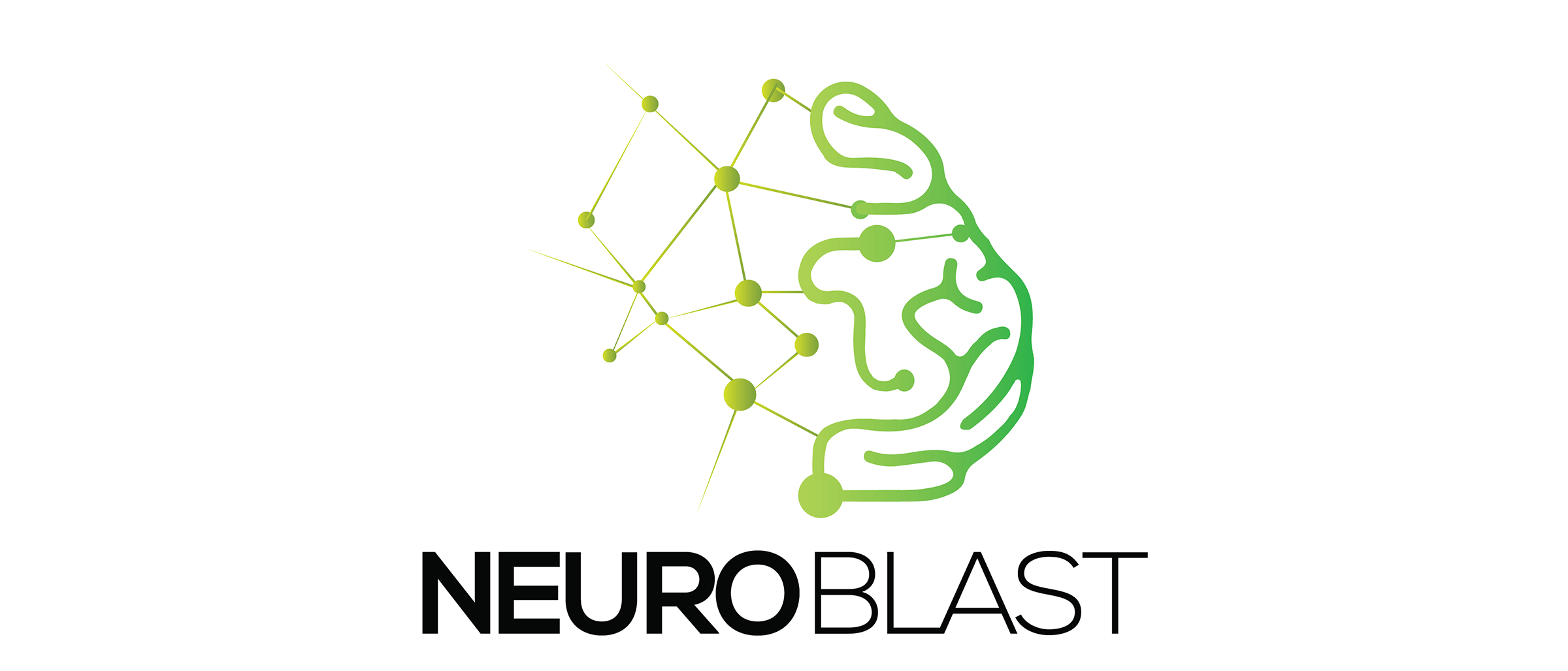 NEUROBLAST: IT подршка за нервни систем